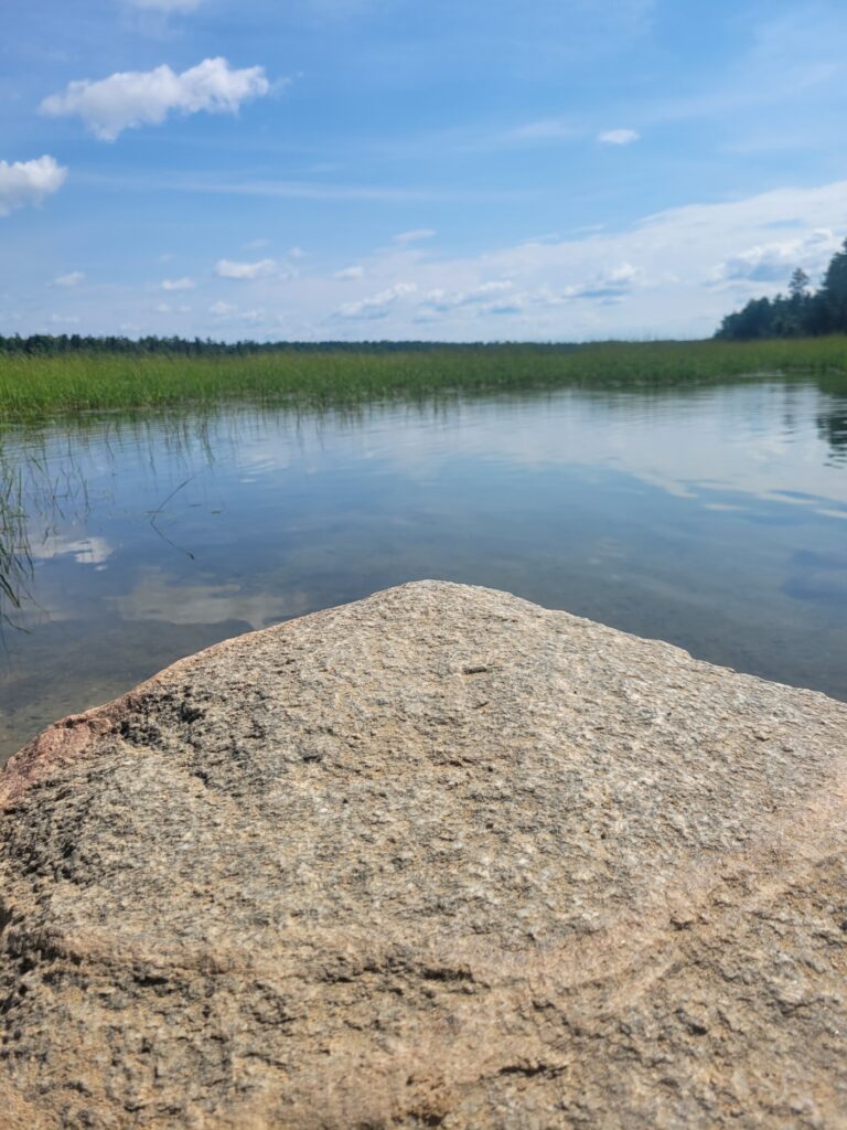 Mississippi headwaters (shown from a large rock overlooking the stream where the Mississippi River begins)